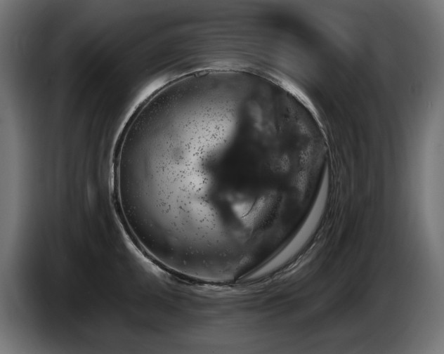 X0000087681095200705041024