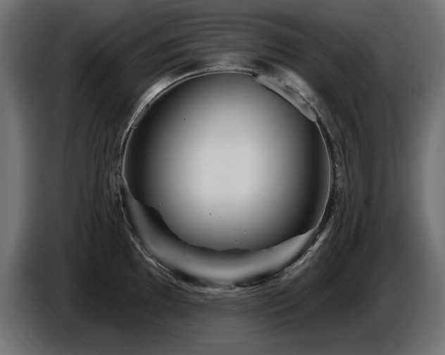 X0000087681097200705041024
