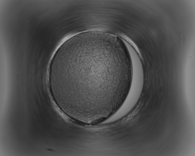 X0000087681099200705041024