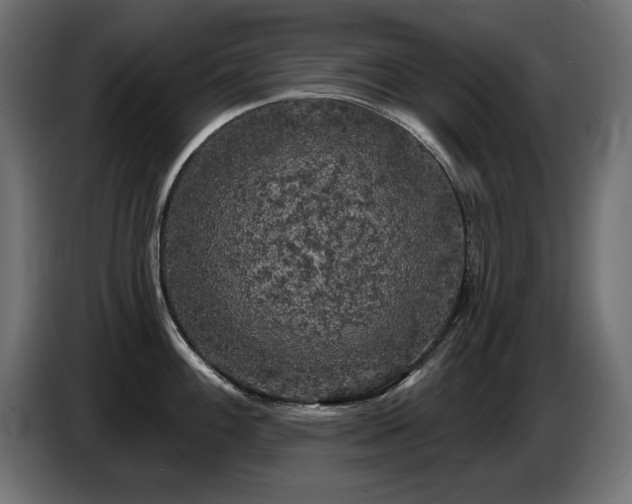 X0000087681100200705041024