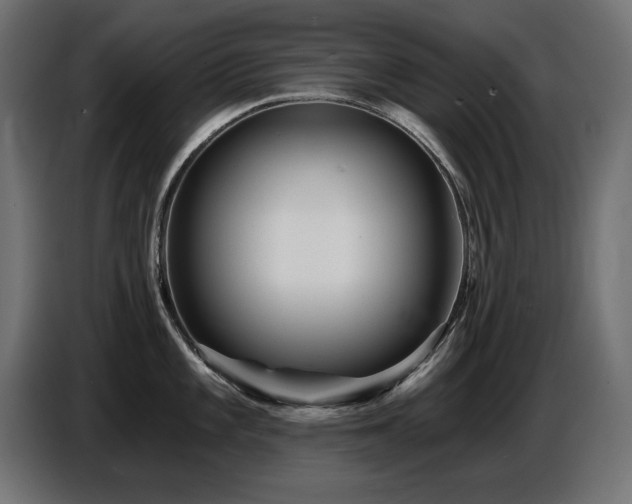 X0000087681101200705041024