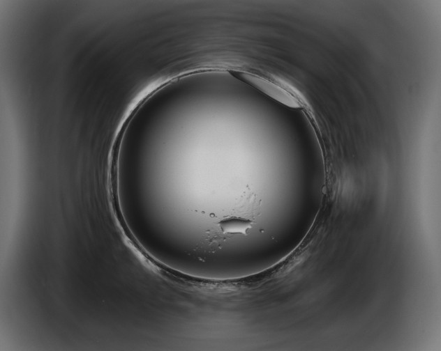 X0000087681103200705041024