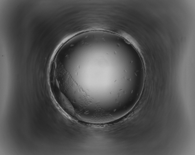 X0000087681104200705041024