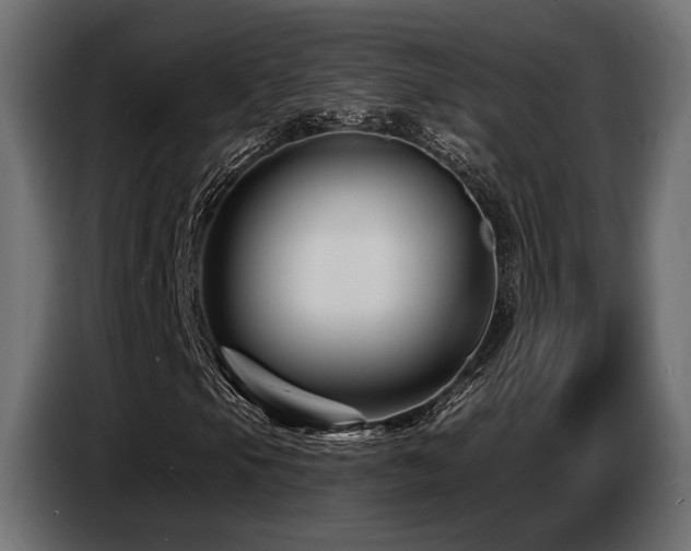X0000087681105200705041023