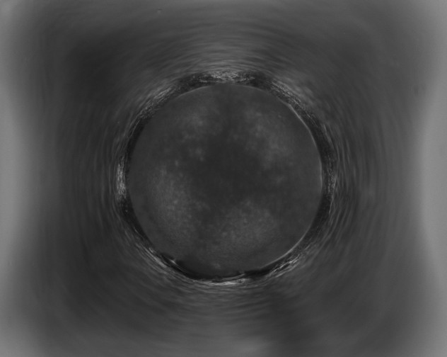 X0000087681106200705041023