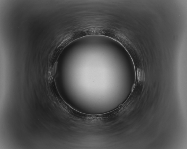 X0000087681107200705041023