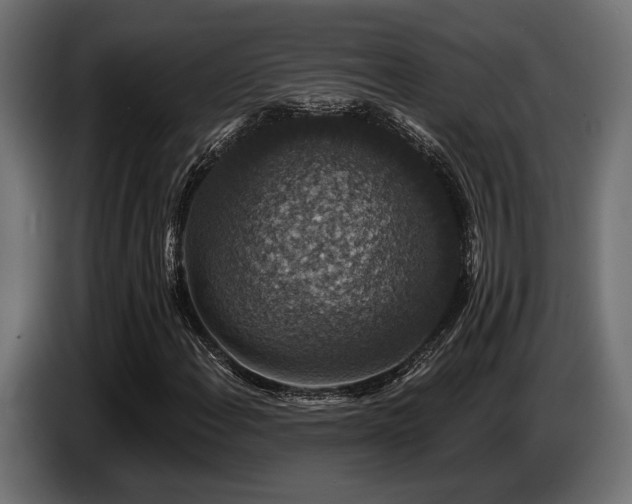 X0000087681108200705041023