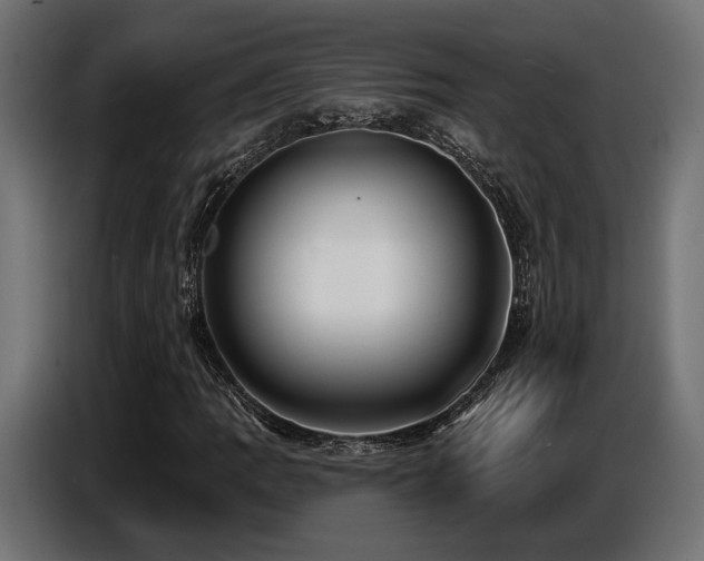 X0000087681109200705041023
