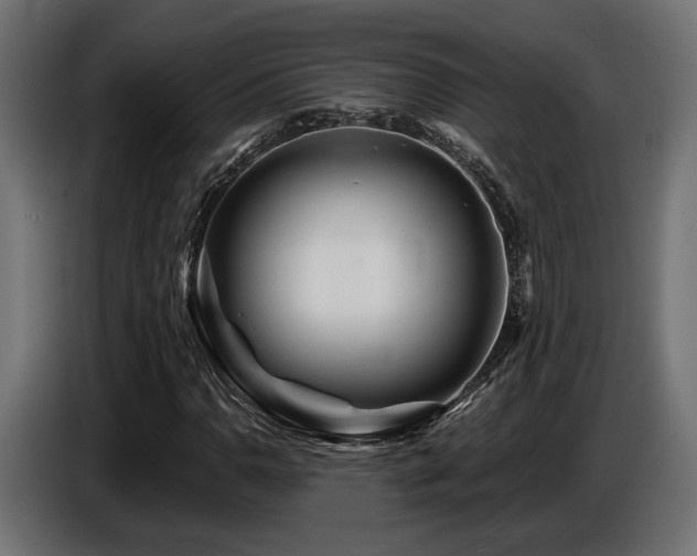 X0000087681110200705041023