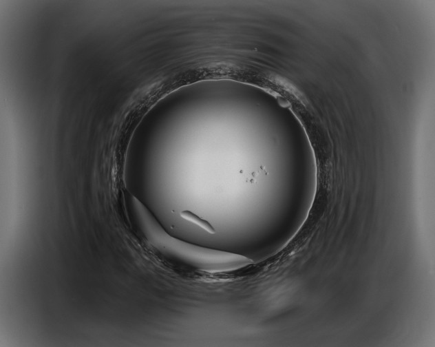 X0000087681111200705041023