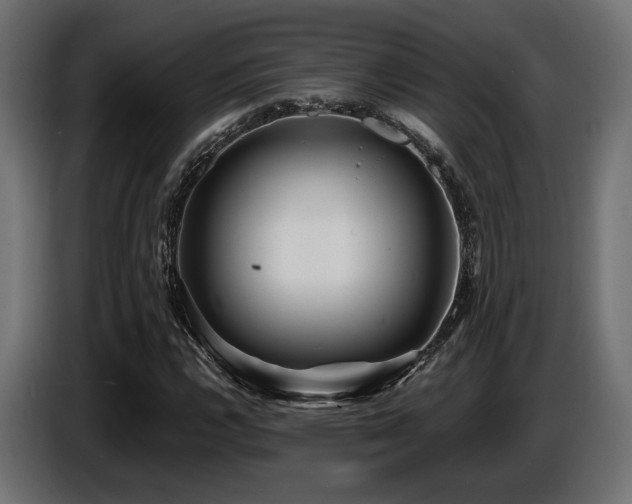 X0000087681112200705041023