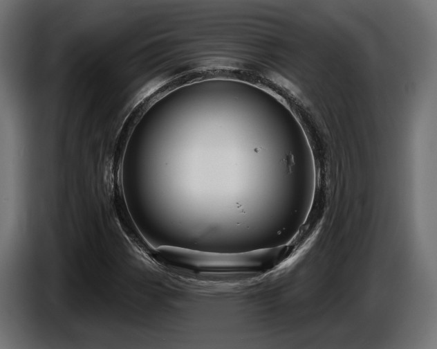X0000087681113200705041023