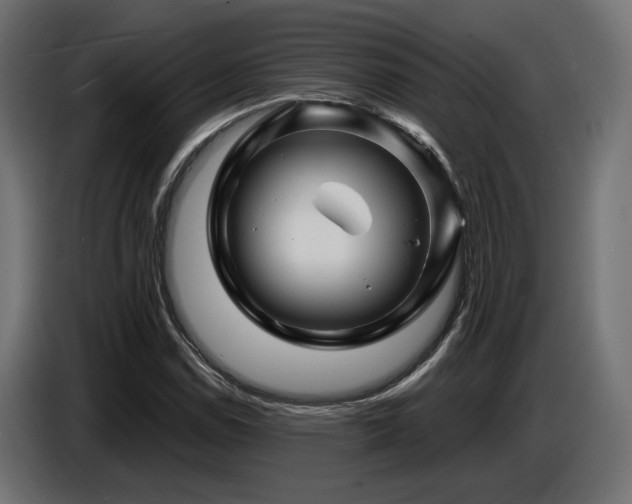 X0000087681114200705041023