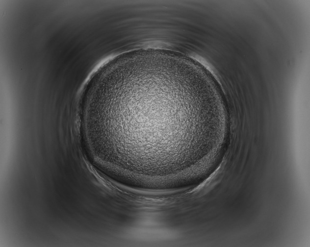 X0000087681115200705041023
