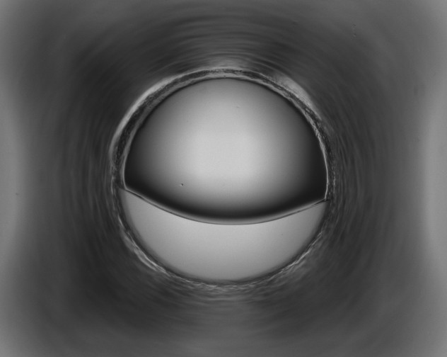 X0000087681116200705041023