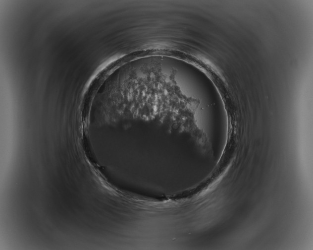 X0000087681117200705041023