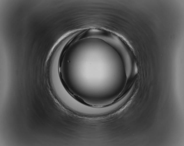 X0000087681118200705041023