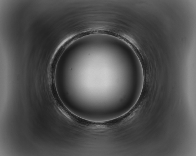 X0000087681119200705041023
