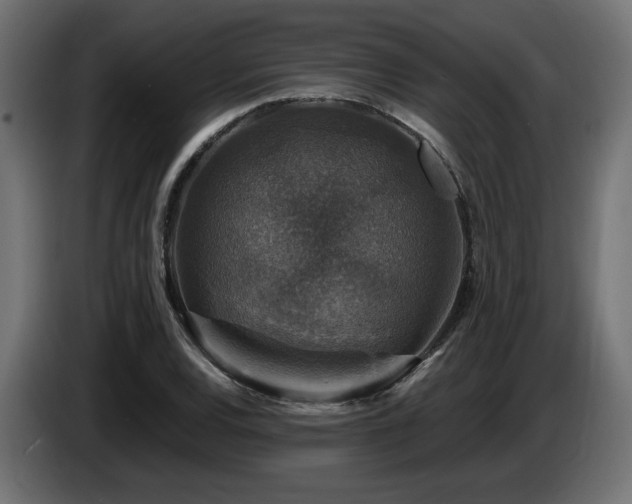 X0000087681120200705041023