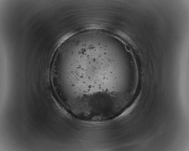 X0000087681121200705041023