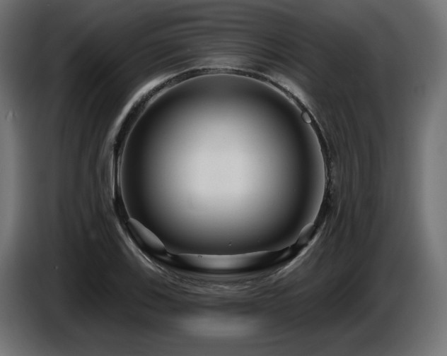 X0000087681123200705041024
