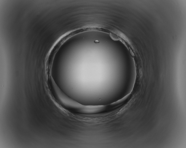 X0000087681124200705041024