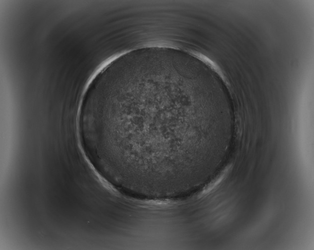 X0000087681125200705041024