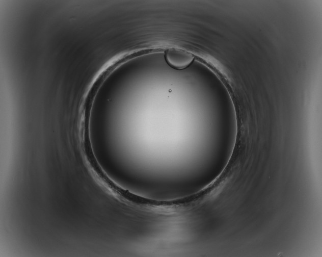 X0000087681126200705041024