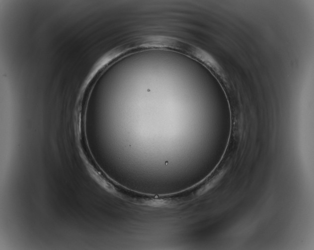 X0000087681130200705041024