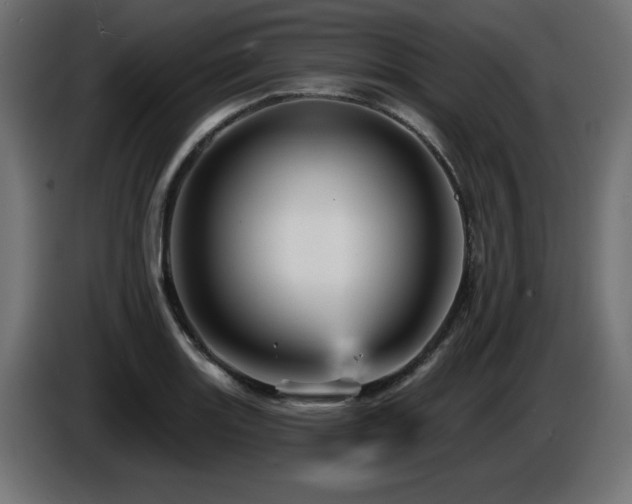 X0000087681131200705041024