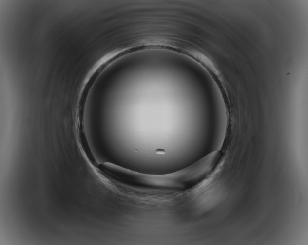 X0000087681133200705041024