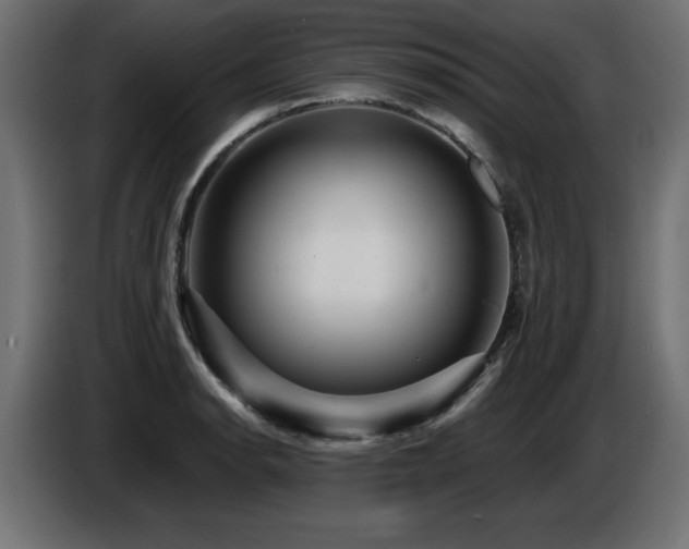 X0000087681134200705041024