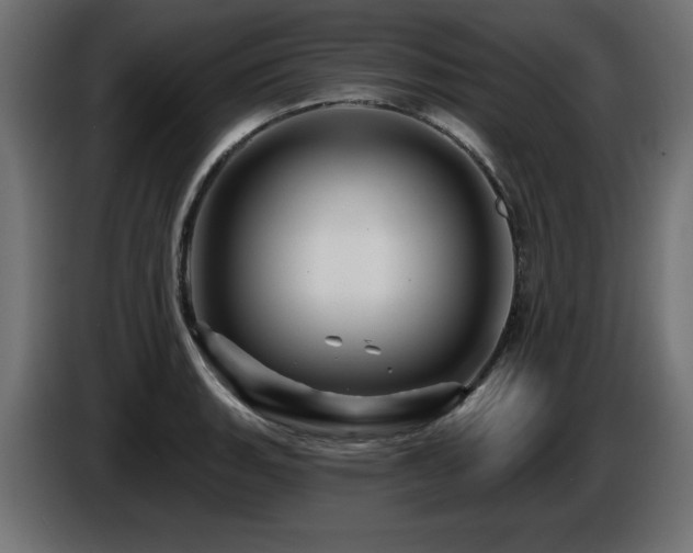 X0000087681135200705041024