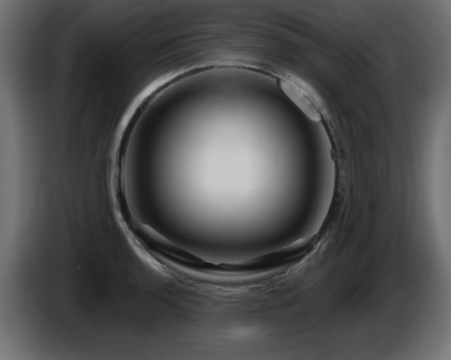 X0000087681136200705041024