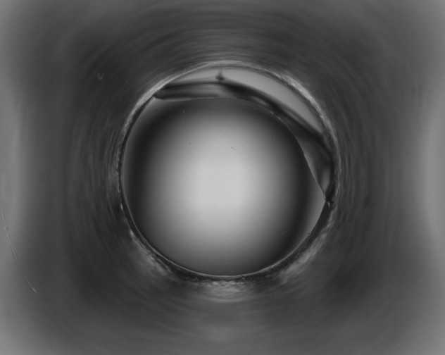 X0000087681137200705041024