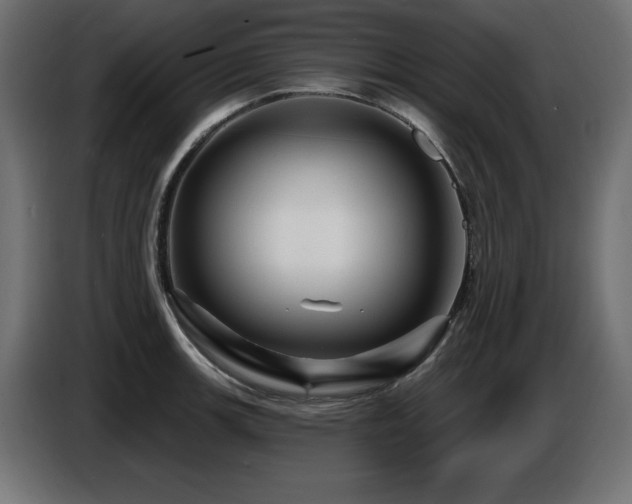 X0000087681139200705041024