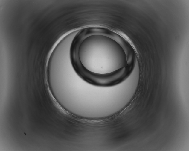 X0000087681140200705041024