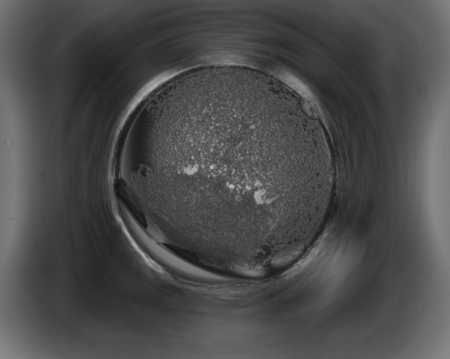 X0000087681141200705041024