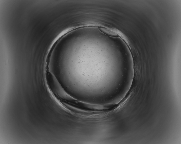 X0000087681142200705041024