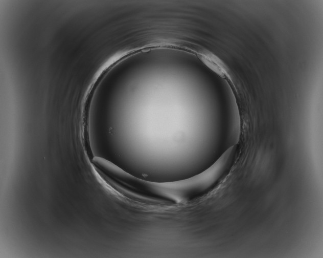 X0000087681143200705041024