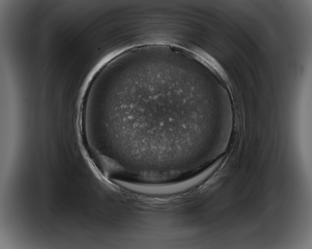 X0000087681144200705041024