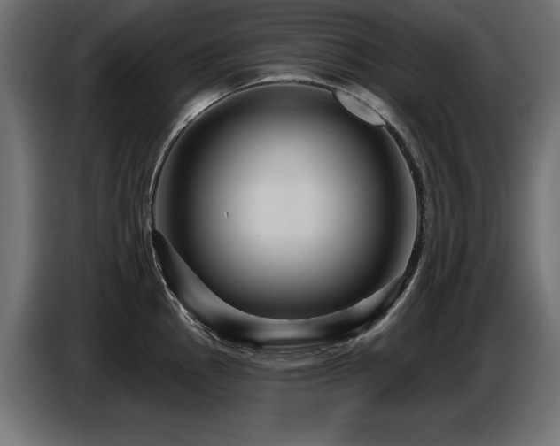 X0000087681145200705041024