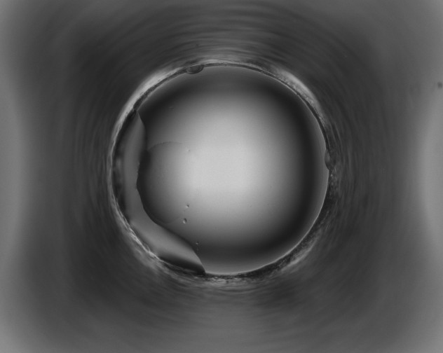 X0000087681146200705041024
