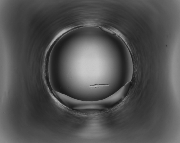 X0000087681147200705041024