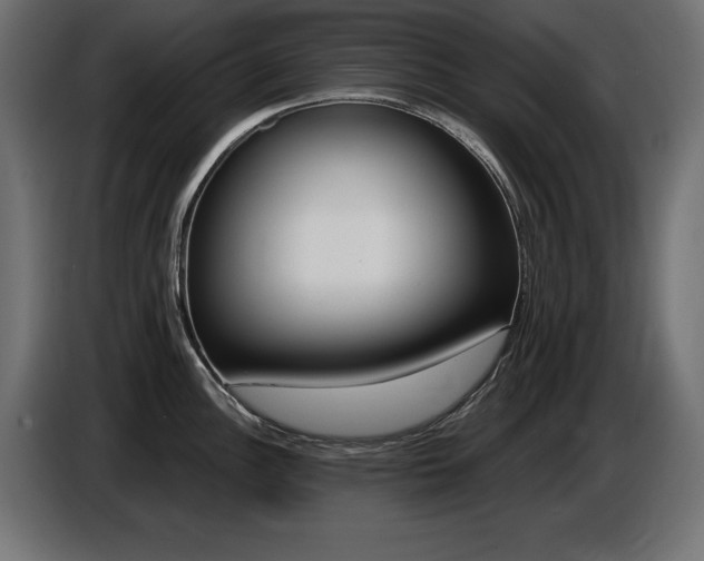 X0000087681148200705041024
