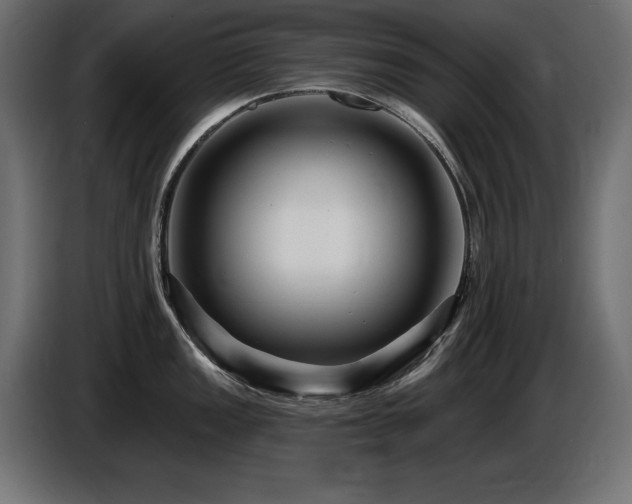 X0000087681149200705041024
