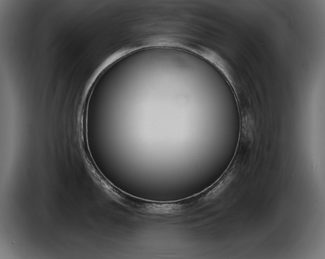X0000087681150200705041024