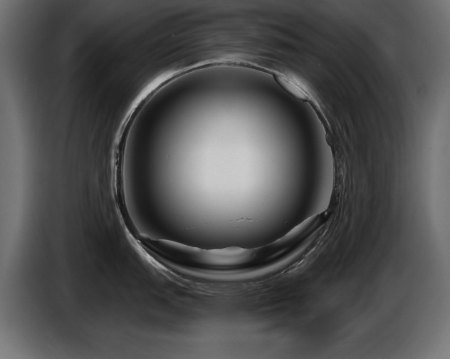 X0000087681151200705041024