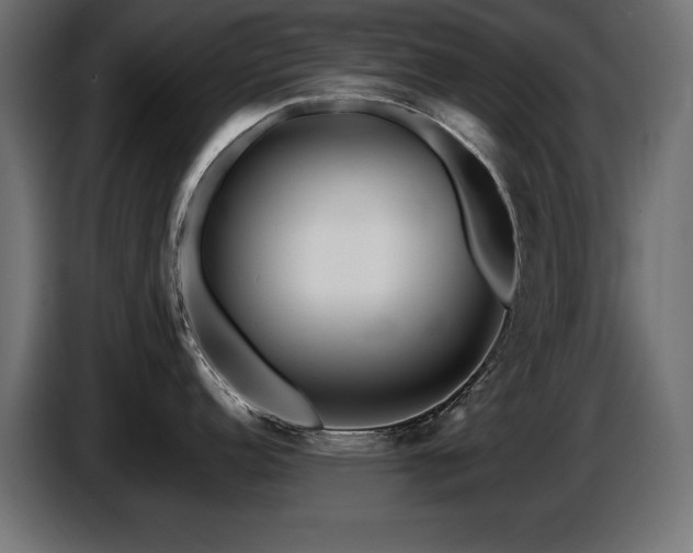 X0000087681152200705041024