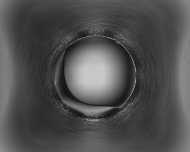 X0000087681153200705041023